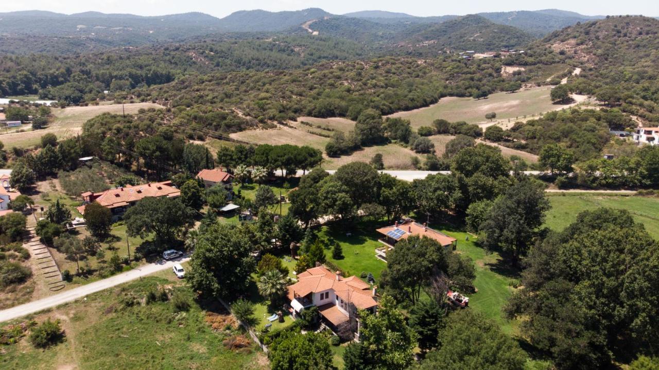 Villa Palmera Ierissos Exterior foto
